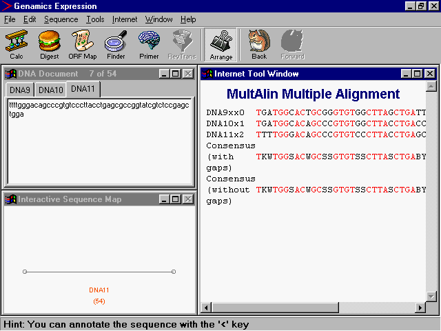 Multiple Sequence Alignment