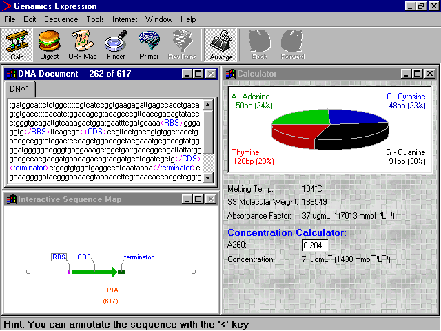 Properties Calculator for DNA and Proteins