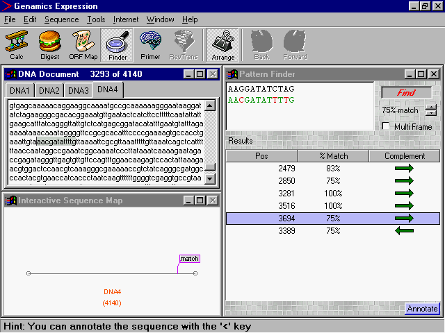 Pattern and Motif Finder