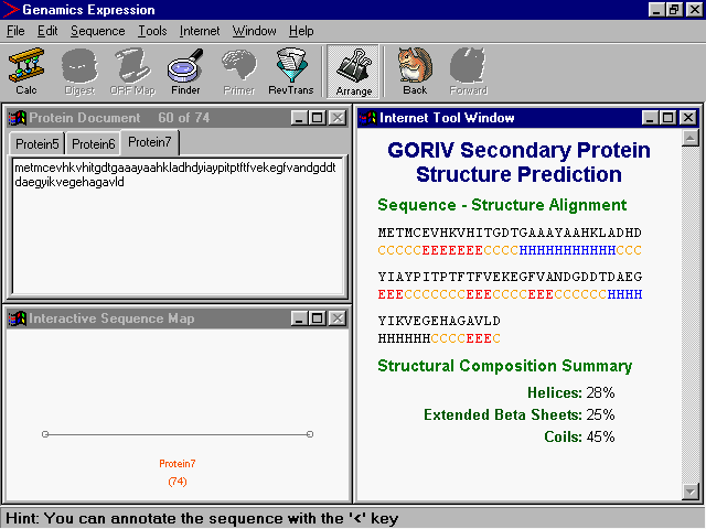 Secondary Protein Structure Prediction